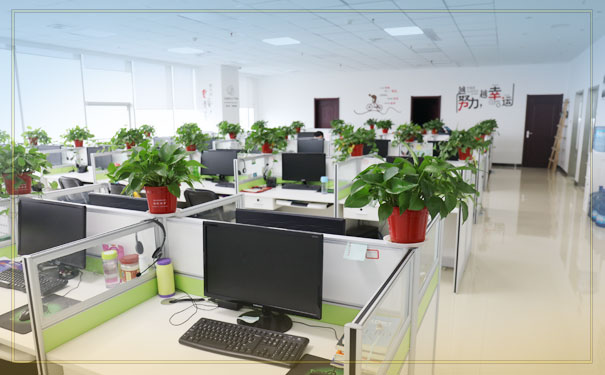 ��ѯ����ʦ��ѵ