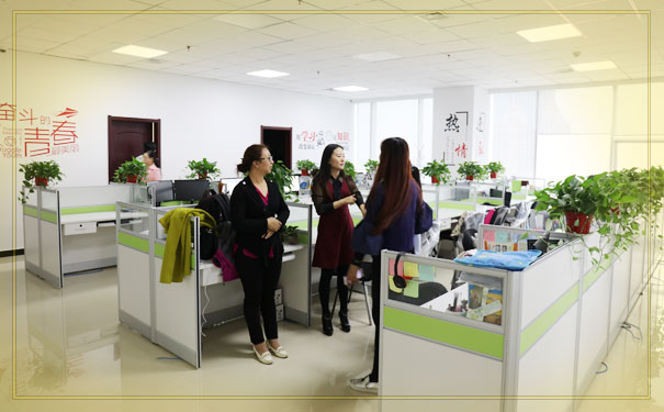 ��ѯ����ʦ��ѵ