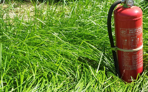 �Ͼ���������ʦ��ѵ������Ʒ�ơ�_�Ͼ�����ʦ��ѵ�ࡾ���ú�����