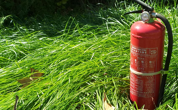 ��ͨ��������ʦ��ѵ������Ʒ�ơ�_��ͨ����ʦ��ѵ�ࡾ���ú�����