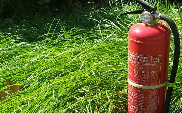 �Ϸ���������ʦ��ѵ������Ʒ�ơ�_�Ϸ�����ʦ��ѵ�ࡾ���ú�����