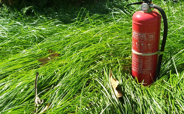 ������������ʦ��ѵ������Ʒ�ơ�_��������ʦ��ѵ�ࡾ���ú�����