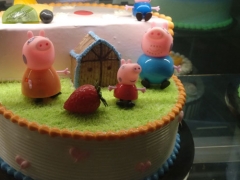 ���������ѵѧУ���յ��������/