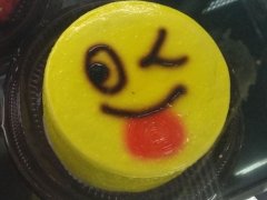 ����ѧ���������/