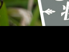 ����������ѧ��ױ�ĵط�/