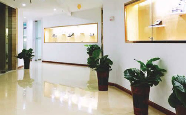 �����ຼ����ױ��ѵѧУ�ĸ��� - ѧ�Ѷ���