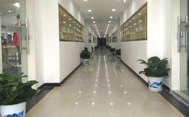 ��ɳ�껨����ױ��ѵѧУ�ĸ��� - ѧ�Ѷ���