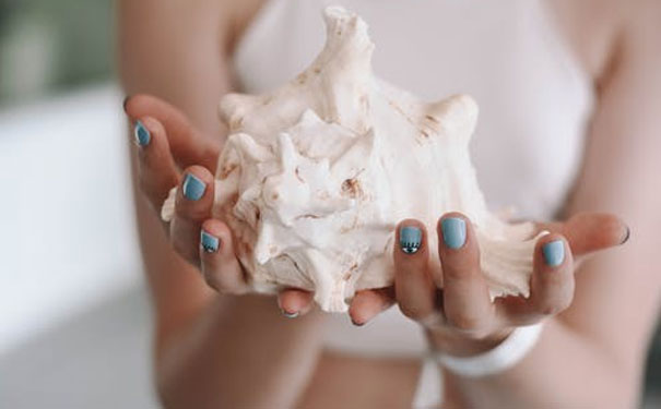 ���ݹ�����������ѵѧУ�ĸ��� - ѧ�Ѷ���Ǯ