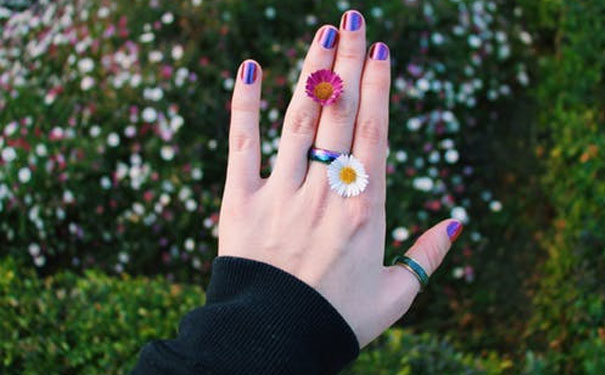 ���ݱ�����������ѵѧУ�ĸ��� - ѧ�Ѷ���Ǯ