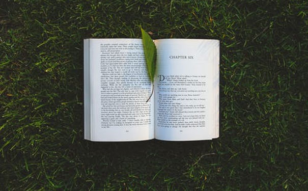 �ൺӢ����ѵ�ĸ�������