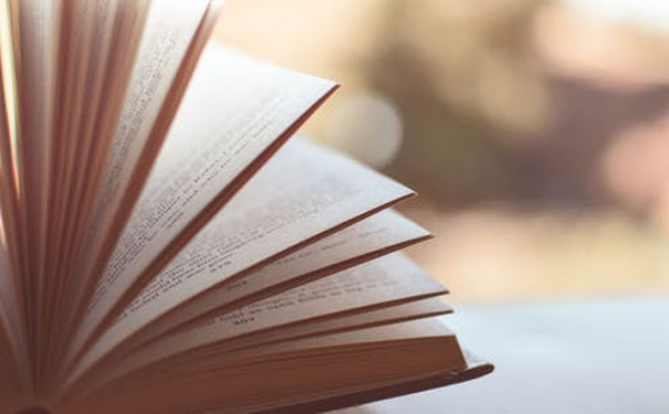 �ൺӢ����ѵѧУ�ĸ��ȽϺ�