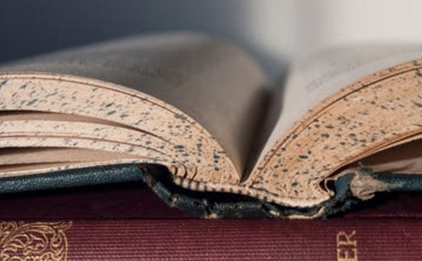 ����������ѧӢ������� - ѧ�Ѷ���