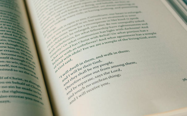 Ȫ��Ӣ�������ѵ�ļҺ� - �۸����Ǯ  