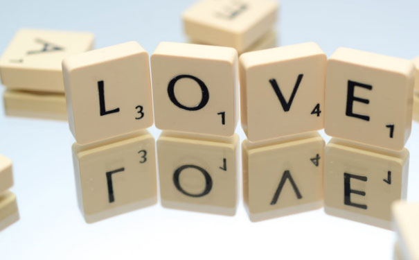 ���ݹ�ҵ԰��Ӣ�������ѵ�ļҺ� - �۸����Ǯ 