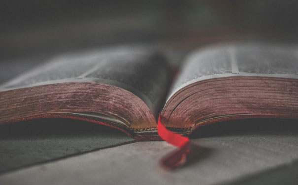 �ϲ�ѧӢ������� - ѧ�Ѷ���