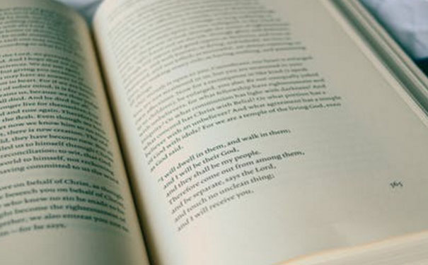 ������ɽ��Ӣ����ѵ��������Щ