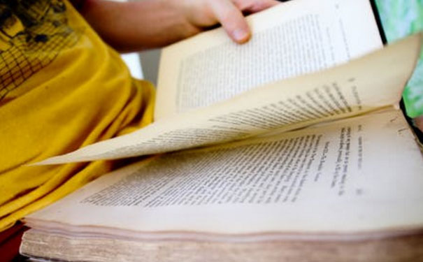 ���ڸ�����Ӣ����ѵ��������Щ