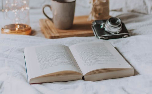 东莞南城区英语培训机构有哪些