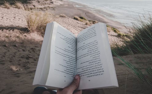 ����������Ӣ����ѵ��������Щ