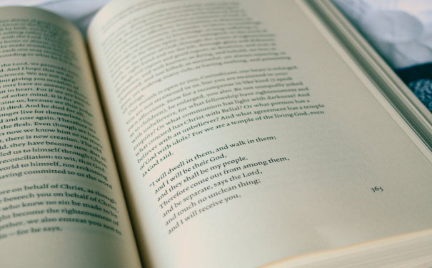 ��ɽ����Ӣ����ѵ��������Щ