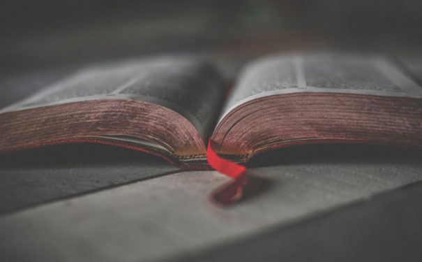 中山小榄镇英语培训机构有哪些