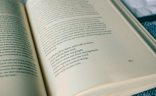 ����������Ӣ����ѵ��������Щ