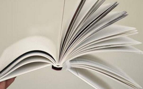 ����������Ӣ����ѵ��������Щ 