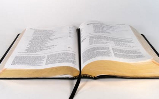 ����������Ӣ����ѵ��������Щ