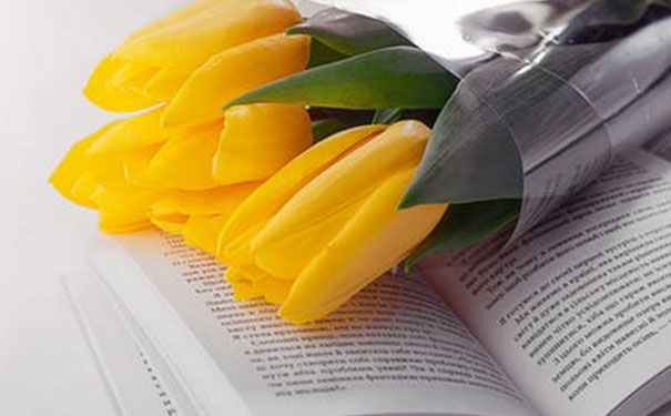 �Ϸʱ�������Ӣ����ѵ��������Щ