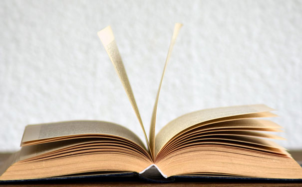 ���ݱ�����Ӣ����ѵ��������Щ