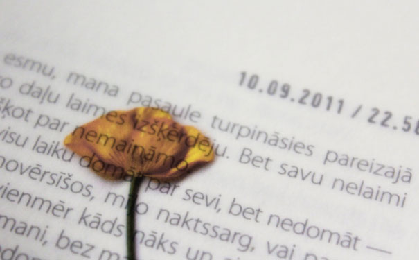 ��ɽ����Ӣ����ѵ���ĸ��� - ����Ǯ