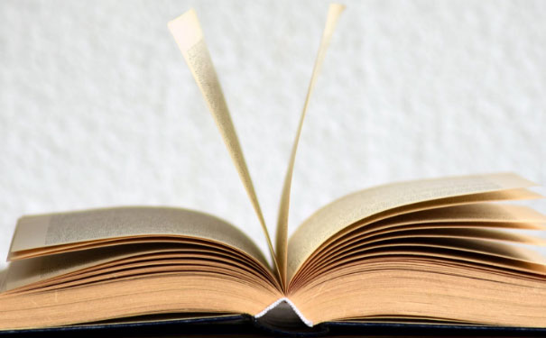 ��ɽ����������Ӣ����ѵ���ĸ��� - ����Ǯ