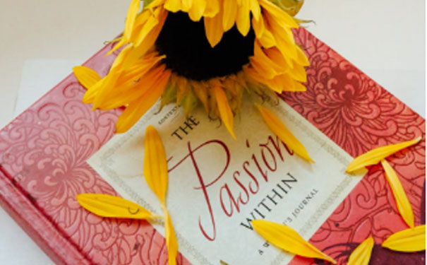 ������ƽ������Ӣ����ѵ���ĸ��� - ����Ǯ