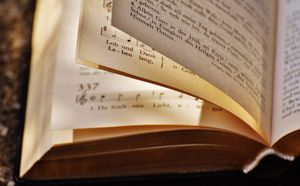 ���˿���������Ӣ����ѵ���ĸ��� - ����Ǯ