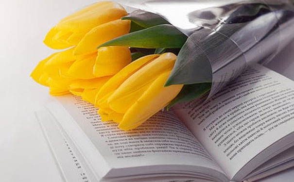 ���ݻݳ�������Ӣ��������Ͽγ��ĸ���_����Ӣ����ѵ����