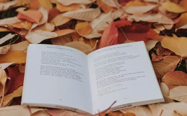 �����������Ӣ��������Ͽγ��ĸ���_����Ӣ����ѵ����