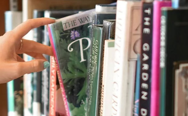 �Ϸʳ���Ӣ��������Ͽγ��ĸ���_�Ϸ�Ӣ����ѵ����