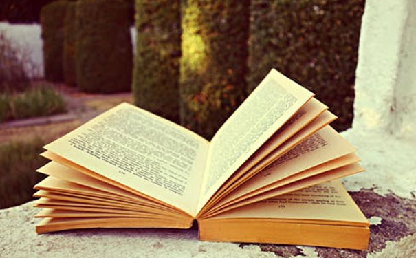 ��������������Ӣ��������Ͽγ��ĸ���_����Ӣ����ѵ����