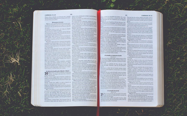 ��������Ӣ��������Ͽγ��ĸ���_����Ӣ����ѵ����