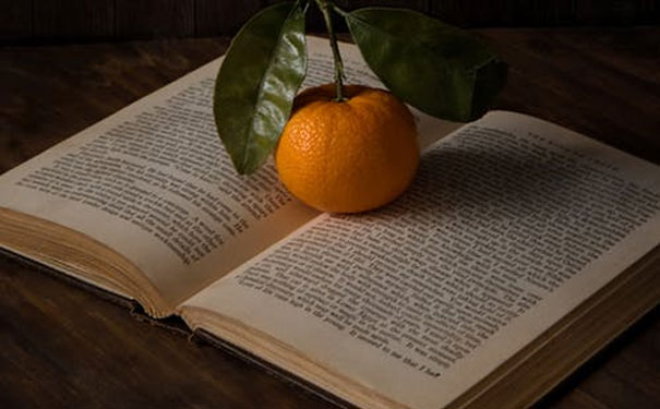 大连开发区成人英语口语线上课程哪个好_大连英语培训机构