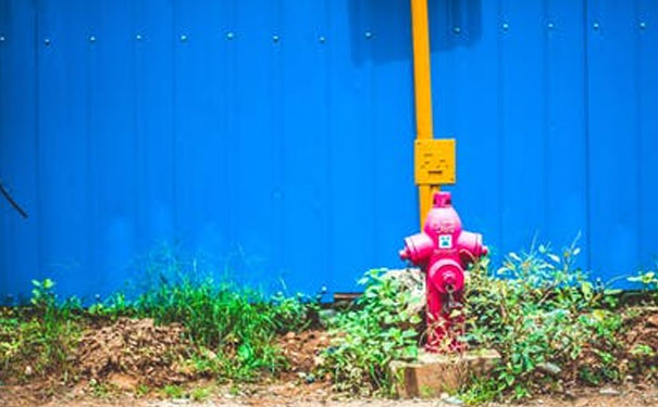 �γ���������ʦ��ѵ�ļ�ǿ