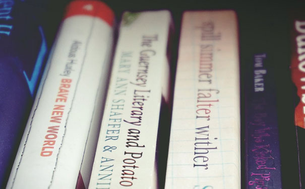 �麣����Ӣ��γ̱���