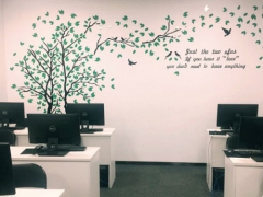 ����ѧ��������ĸ���ѵ���ĺ�/