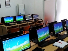 ��ɳѧ���������ѵ/