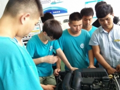 ʯ��ׯ����ѧУ������ѯ/