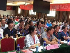 ��ʯ��·������ַ/