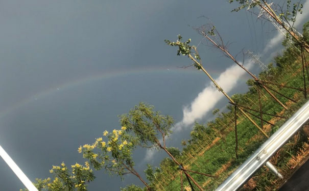 �Ϻ�������Դ����ʦ��ѵ�����ĸ���