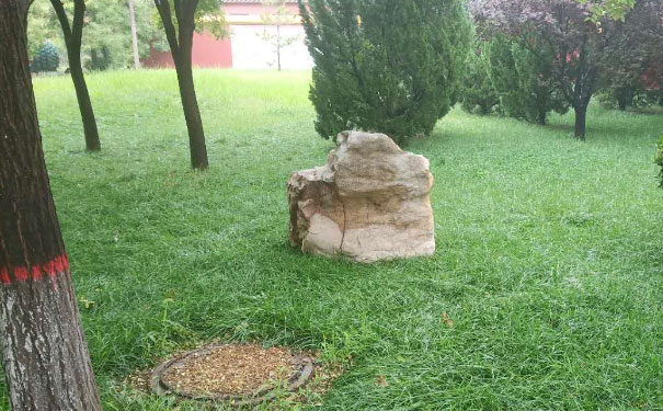 上海人力资源管理师培训学校哪个好 上海人力资源管理师培训学校哪个好