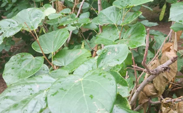 邯郸人力资源管理师培训哪里好