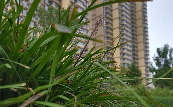天津人力资源管理师培训机构哪家靠谱